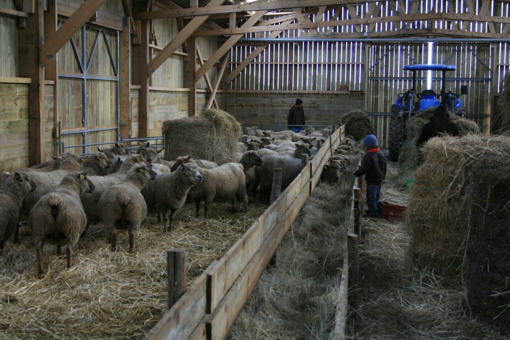 Auges démontables bergerie