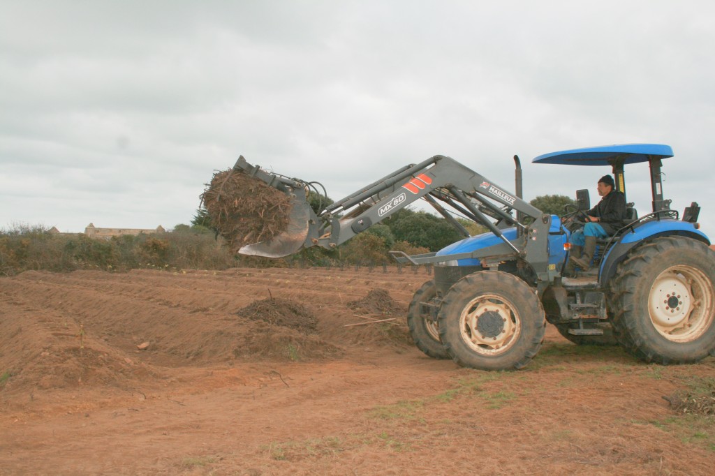 Buttes tracteur broya