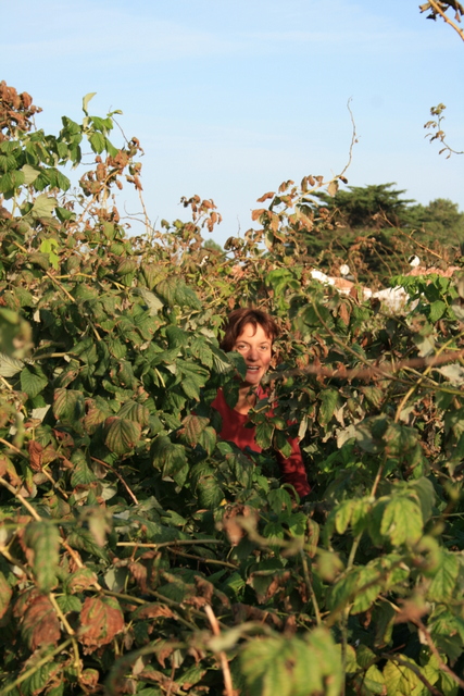 Camille dans les fruits rouges