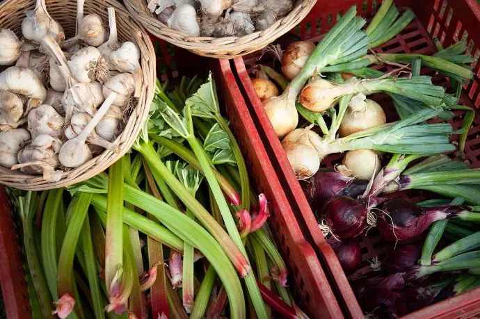Rhubarbe, ail, oignois