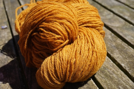 Echeveau couleur (100g) 